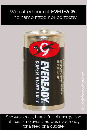 Image: an EVEREADY battery. Text: We called our cat Eveready. The name fitted her perfectly. She was small, black, full of energy, had nine lives and was 'ever-ready' for a feed or a cuddle.